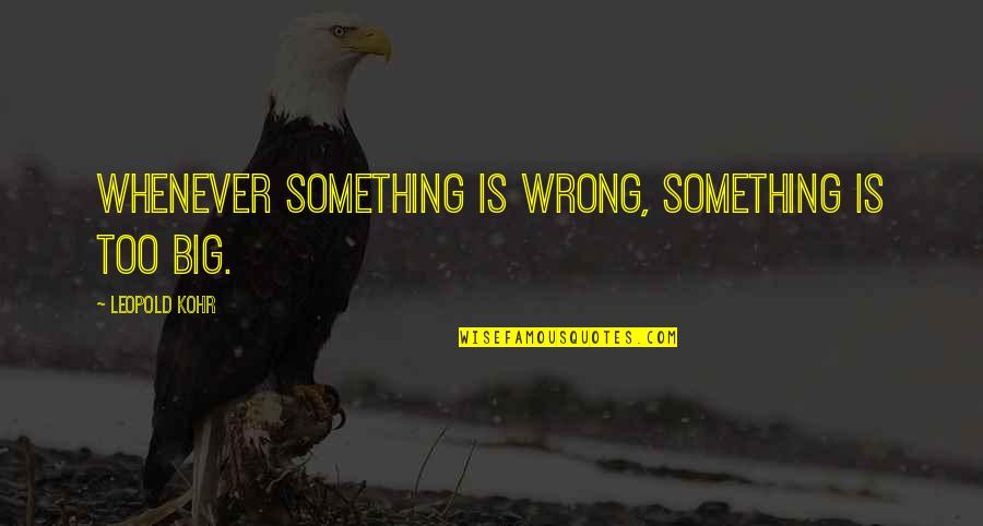Actualizes Quotes By Leopold Kohr: Whenever something is wrong, something is too big.
