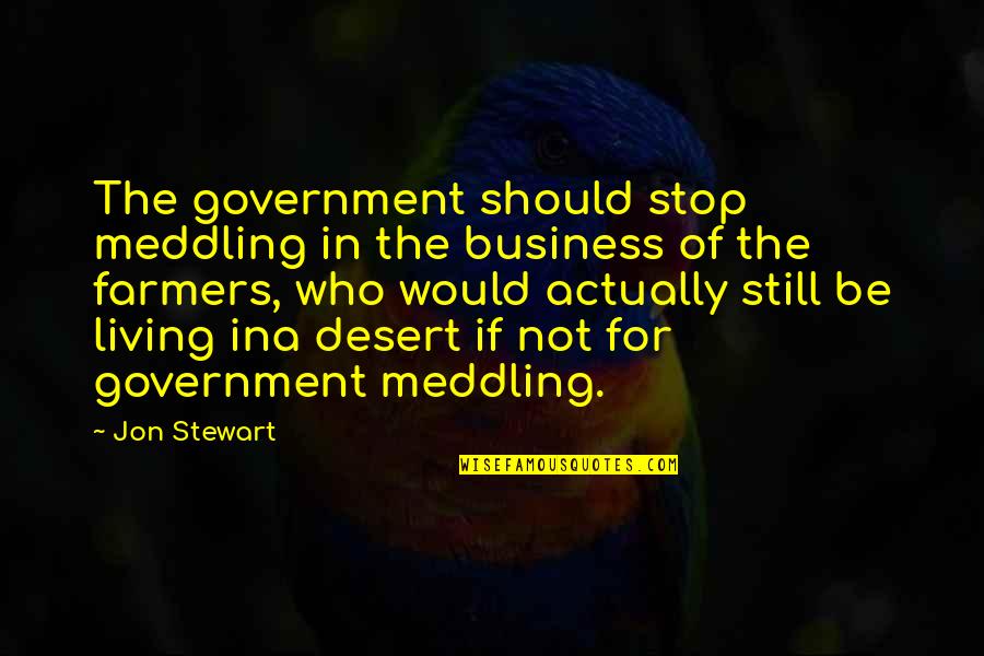Actually Living Quotes By Jon Stewart: The government should stop meddling in the business