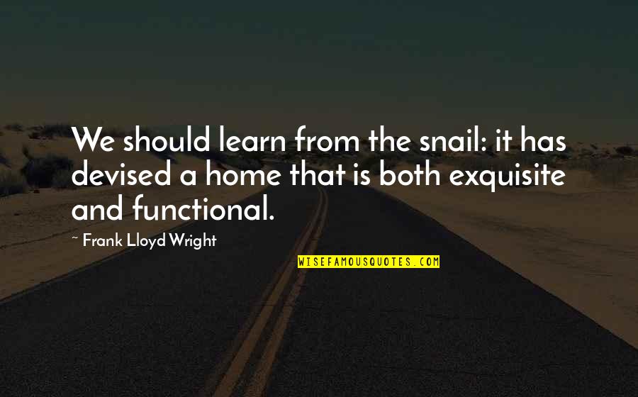 Acudir Quotes By Frank Lloyd Wright: We should learn from the snail: it has