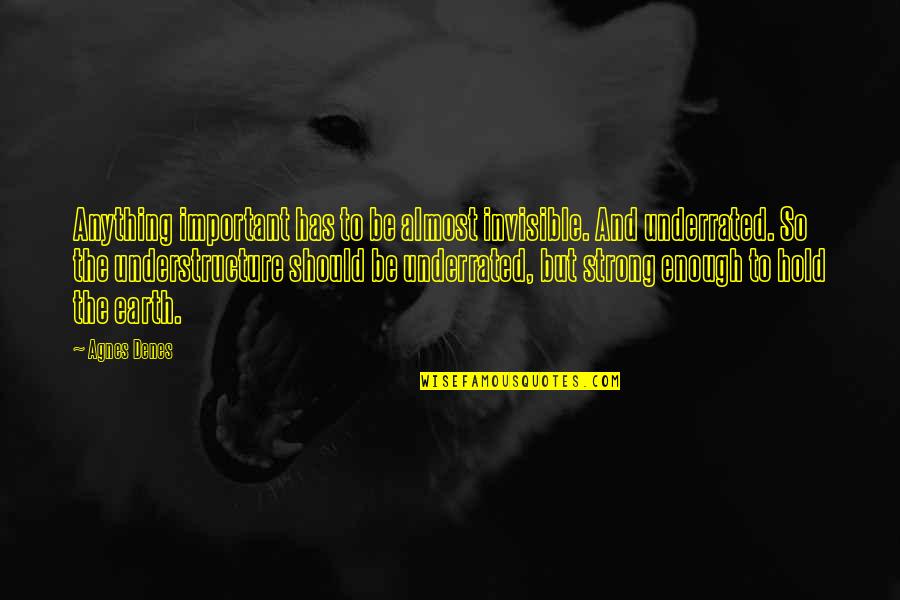 Acumulacion De Basura Quotes By Agnes Denes: Anything important has to be almost invisible. And Acumulacion De Basura Quotes By Agnes Denes: Anything important has to be almost invisible. And