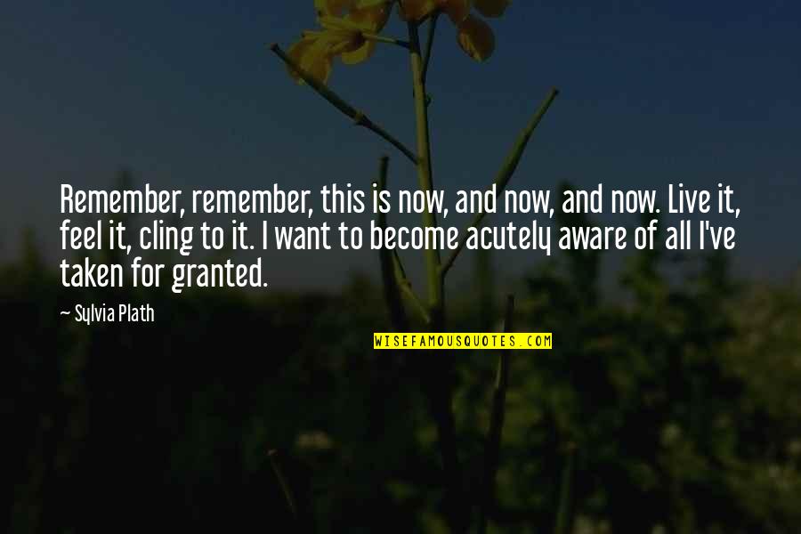 Acutely Quotes By Sylvia Plath: Remember, remember, this is now, and now, and