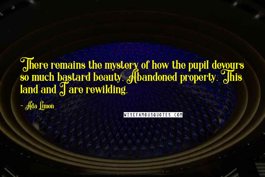 Ada Limon quotes: There remains the mystery of how the pupil devours so much bastard beauty. Abandoned property. This land and I are rewilding.