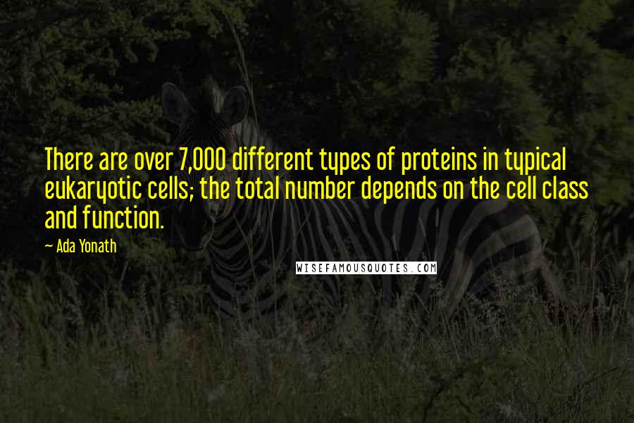 Ada Yonath quotes: There are over 7,000 different types of proteins in typical eukaryotic cells; the total number depends on the cell class and function.