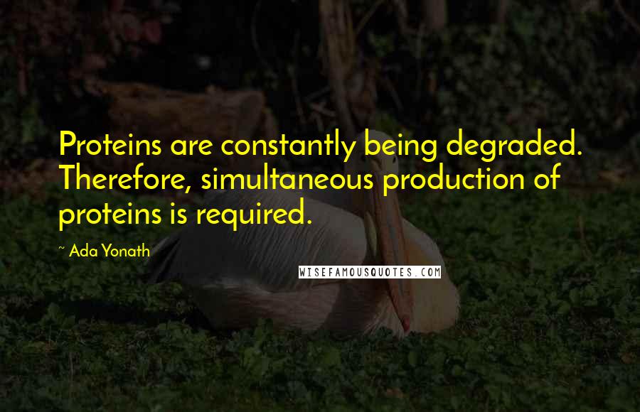 Ada Yonath quotes: Proteins are constantly being degraded. Therefore, simultaneous production of proteins is required.