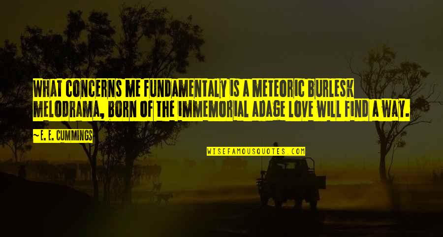 Adages Quotes By E. E. Cummings: What concerns me fundamentaly is a meteoric burlesk