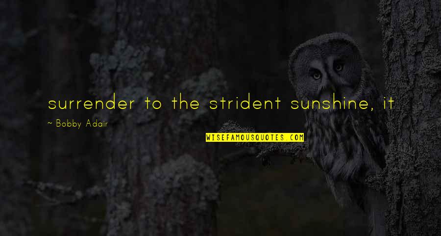 Adair Quotes By Bobby Adair: surrender to the strident sunshine, it