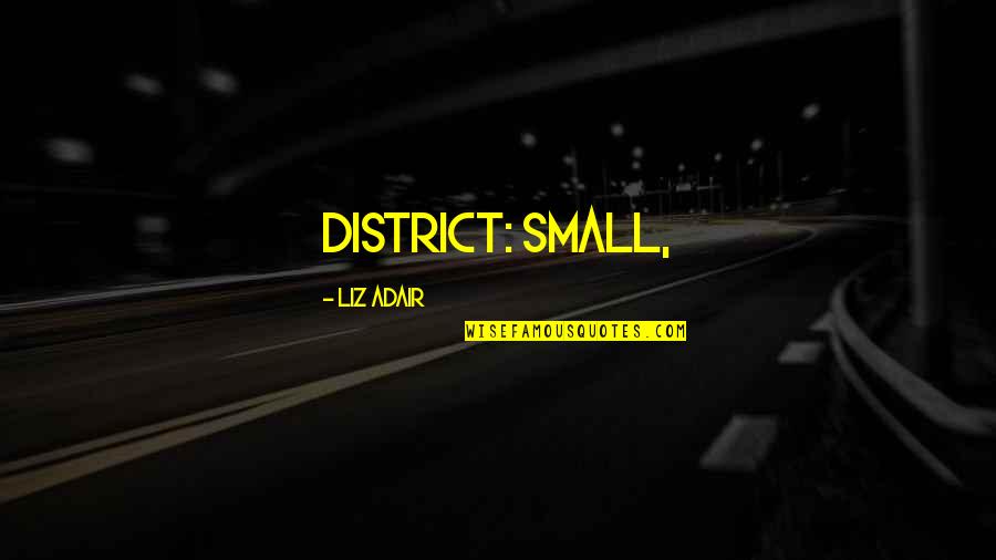 Adair Quotes By Liz Adair: district: small,