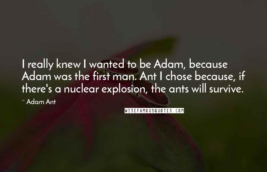 Adam Ant quotes: I really knew I wanted to be Adam, because Adam was the first man. Ant I chose because, if there's a nuclear explosion, the ants will survive. Adam Ant quotes: I really knew I wanted to be Adam, because Adam was the first man. Ant I chose because, if there's a nuclear explosion, the ants will survive.