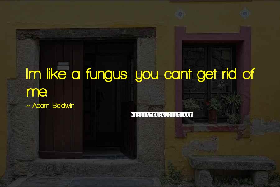 Adam Baldwin quotes: I'm like a fungus; you can't get rid of me.