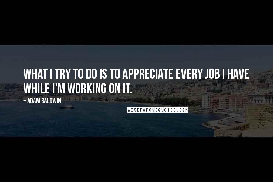 Adam Baldwin quotes: What I try to do is to appreciate every job I have while I'm working on it.