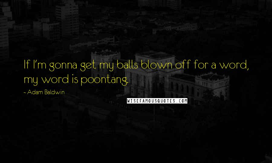 Adam Baldwin quotes: If I'm gonna get my balls blown off for a word, my word is poontang.