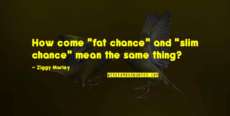 Adam Banjo Quotes By Ziggy Marley: How come "fat chance" and "slim chance" mean
