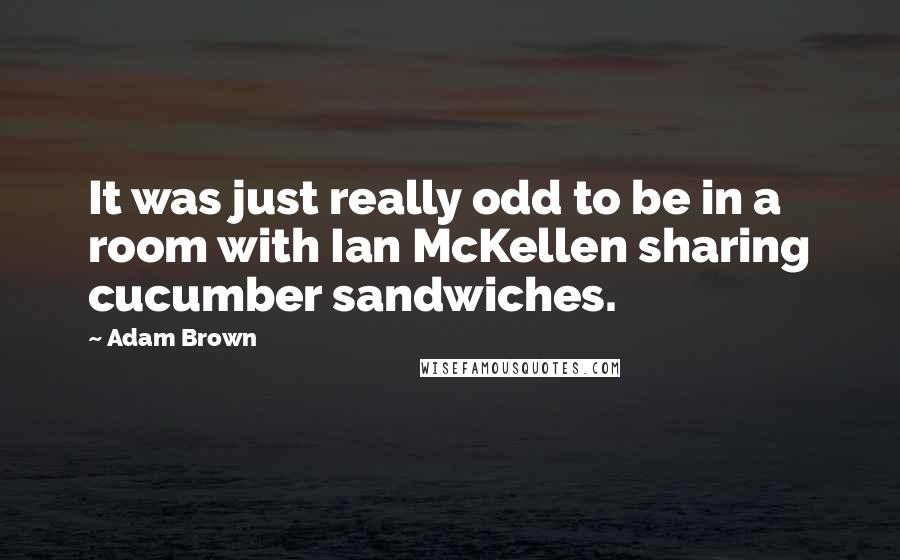 Adam Brown quotes: It was just really odd to be in a room with Ian McKellen sharing cucumber sandwiches.