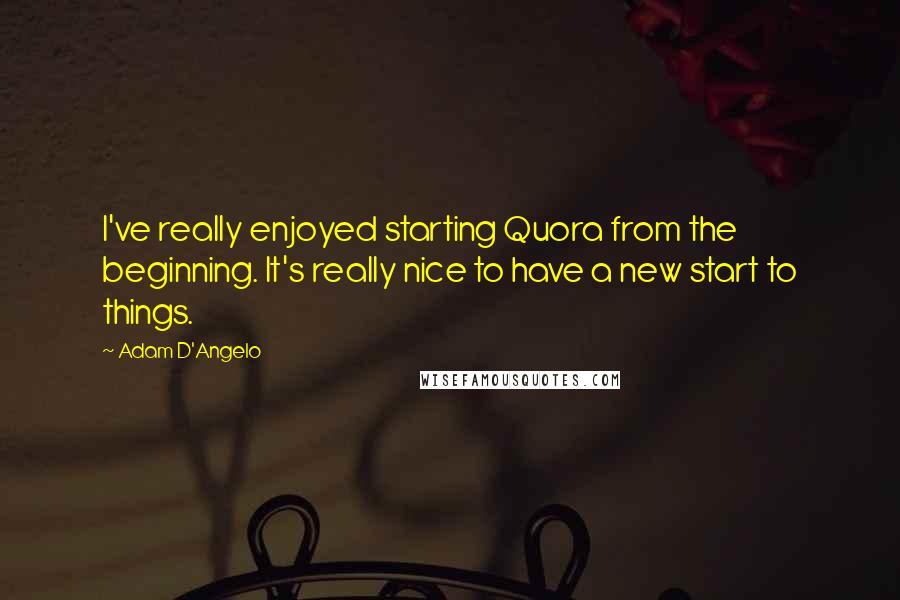 Adam D'Angelo quotes: I've really enjoyed starting Quora from the beginning. It's really nice to have a new start to things.