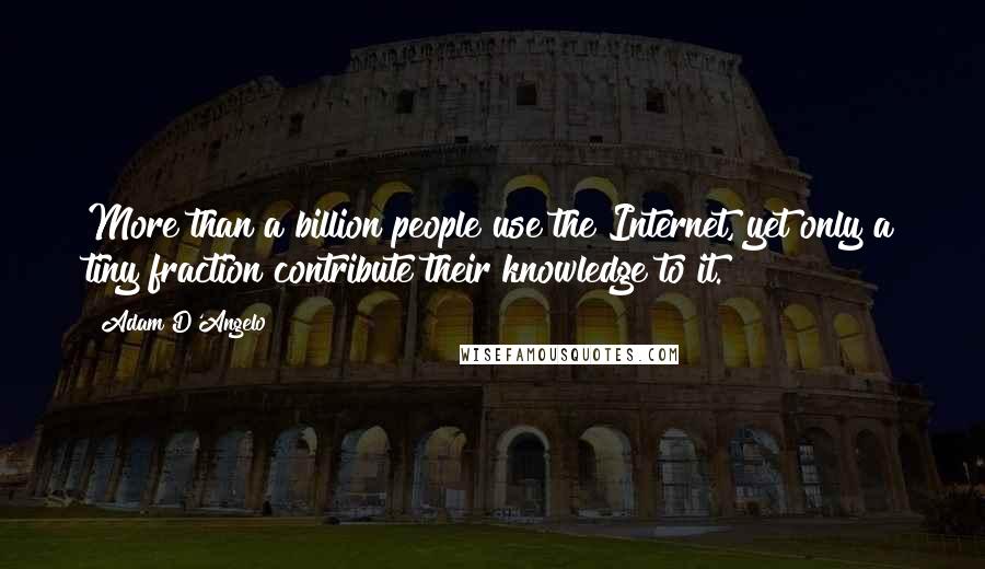 Adam D'Angelo quotes: More than a billion people use the Internet, yet only a tiny fraction contribute their knowledge to it.