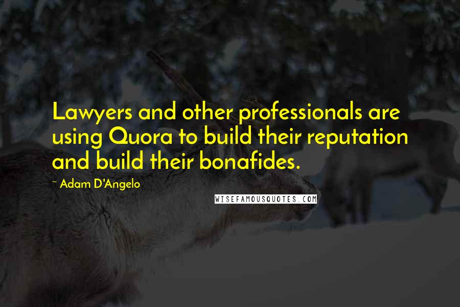 Adam D'Angelo quotes: Lawyers and other professionals are using Quora to build their reputation and build their bonafides.