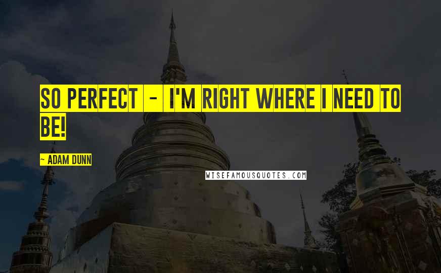 Adam Dunn quotes: So perfect - I'm right where I need to be!