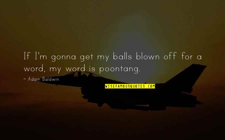 Adam For Quotes By Adam Baldwin: If I'm gonna get my balls blown off
