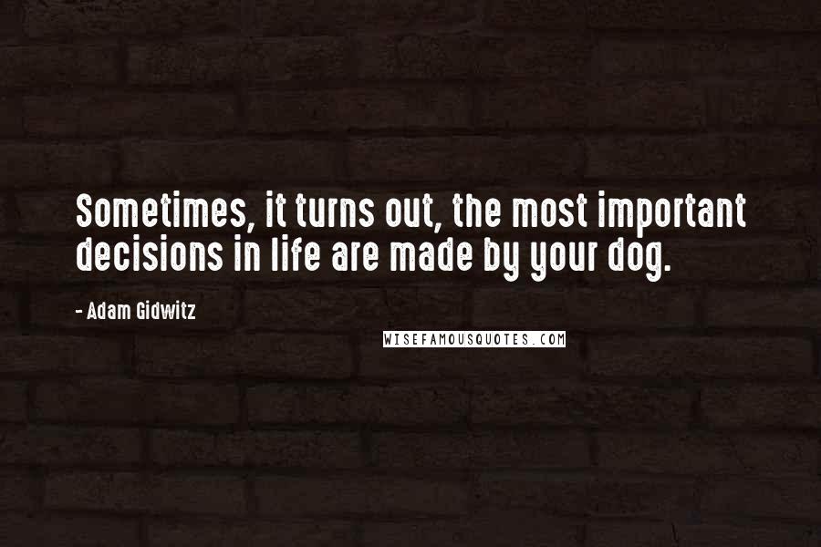 Adam Gidwitz quotes: Sometimes, it turns out, the most important decisions in life are made by your dog.