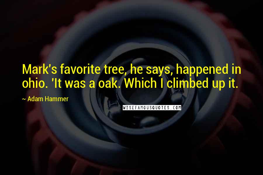 Adam Hammer quotes: Mark's favorite tree, he says, happened in ohio. 'It was a oak. Which I climbed up it.