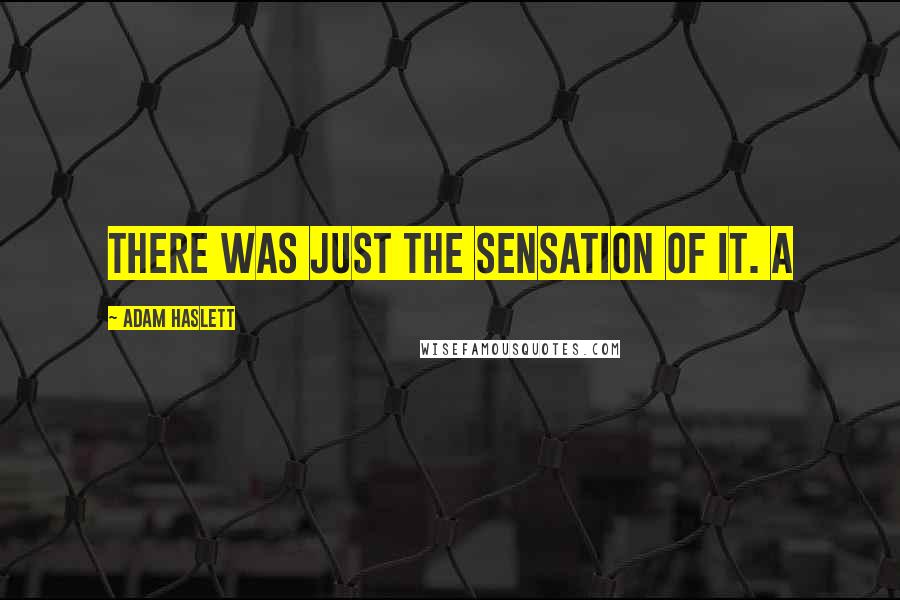 Adam Haslett quotes: There was just the sensation of it. A