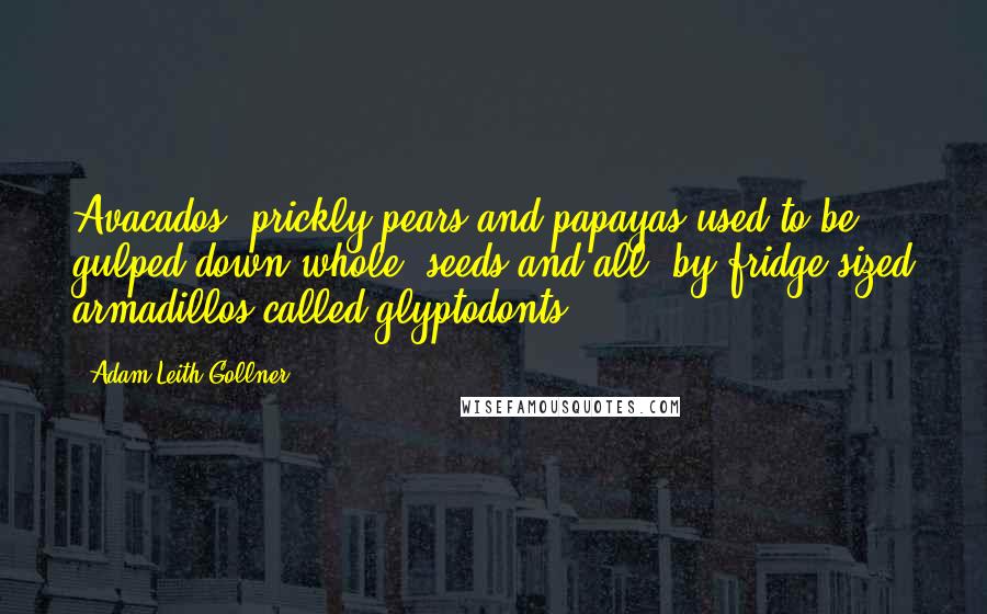 Adam Leith Gollner quotes: Avacados, prickly pears and papayas used to be gulped down whole, seeds and all, by fridge-sized armadillos called glyptodonts.