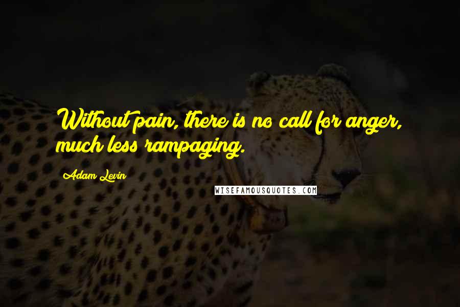 Adam Levin quotes: Without pain, there is no call for anger, much less rampaging.