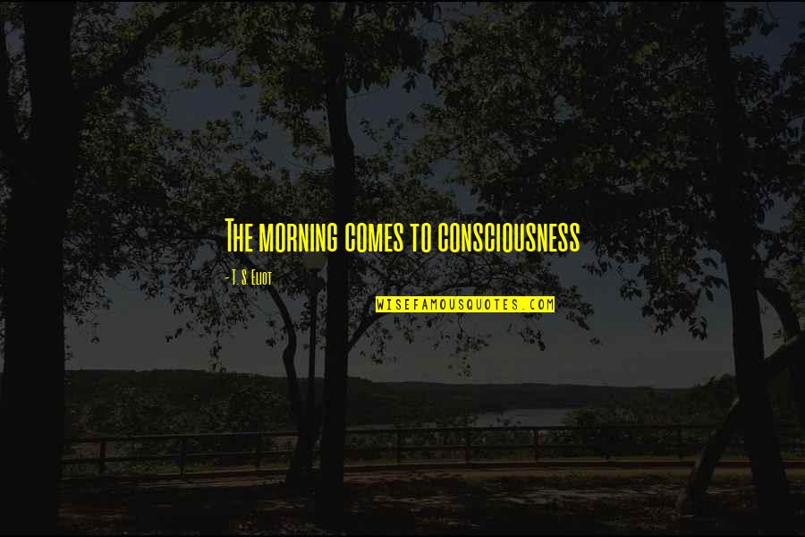 Adam Milligan Quotes By T. S. Eliot: The morning comes to consciousness