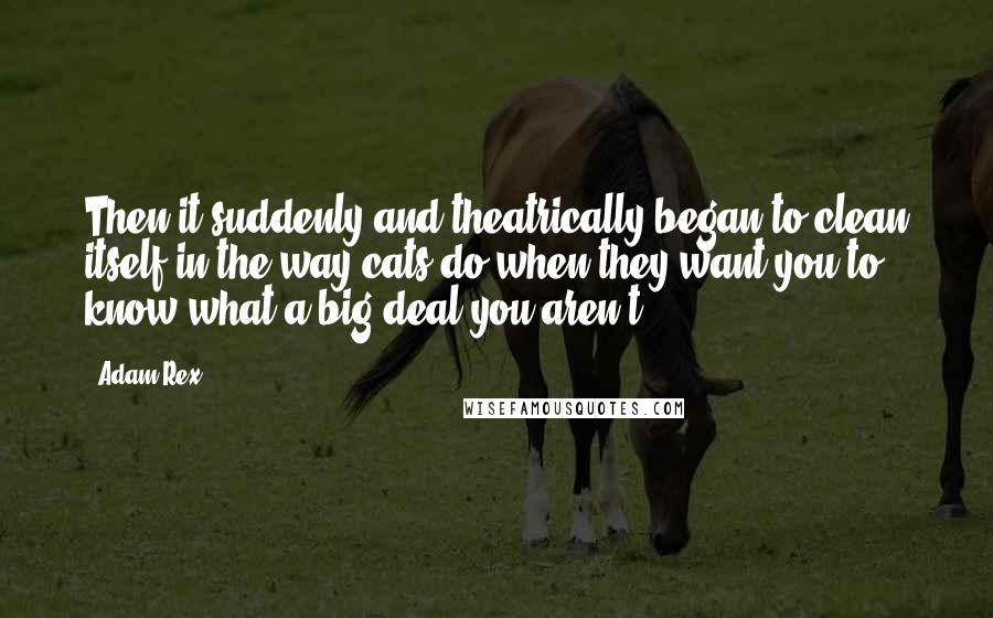 Adam Rex quotes: Then it suddenly and theatrically began to clean itself in the way cats do when they want you to know what a big deal you aren't. Adam Rex quotes: Then it suddenly and theatrically began to clean itself in the way cats do when they want you to know what a big deal you aren't.