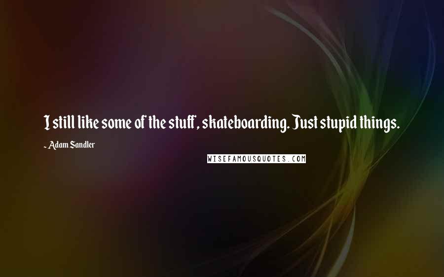 Adam Sandler quotes: I still like some of the stuff, skateboarding. Just stupid things.