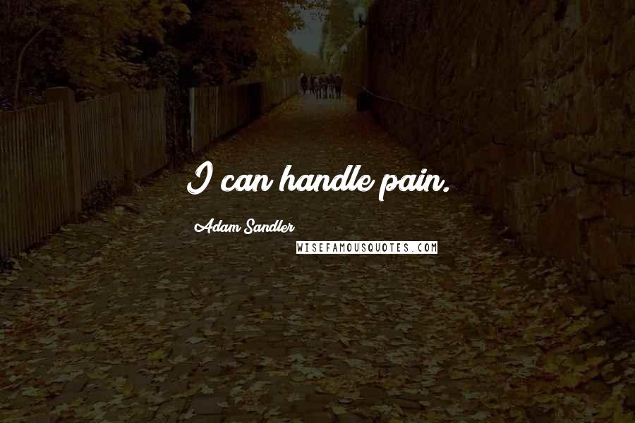 Adam Sandler quotes: I can handle pain.
