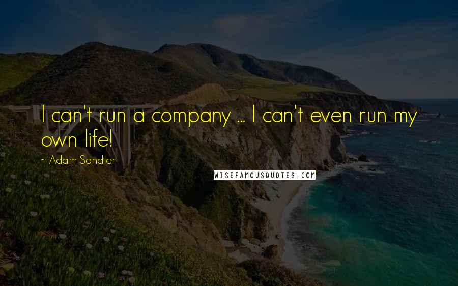 Adam Sandler quotes: I can't run a company ... I can't even run my own life!