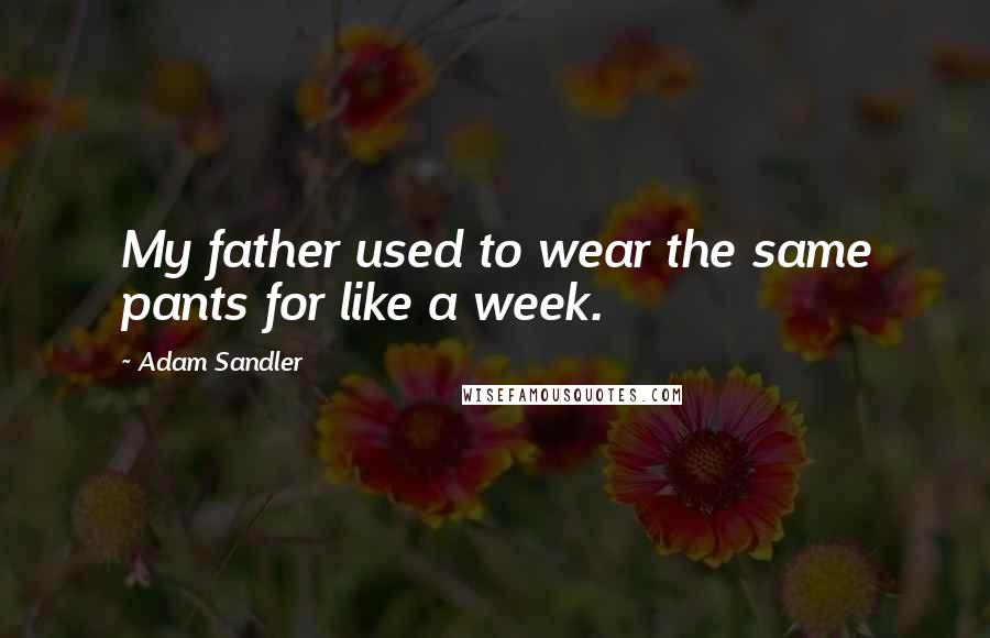 Adam Sandler quotes: My father used to wear the same pants for like a week.