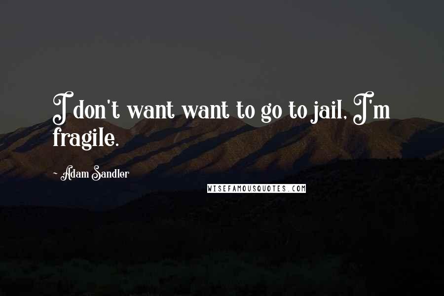 Adam Sandler quotes: I don't want want to go to jail, I'm fragile.