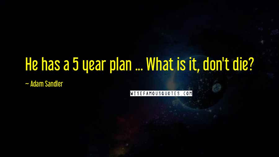 Adam Sandler quotes: He has a 5 year plan ... What is it, don't die?