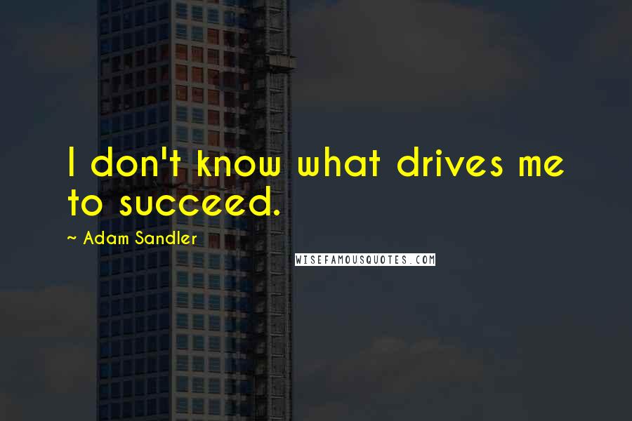 Adam Sandler quotes: I don't know what drives me to succeed.