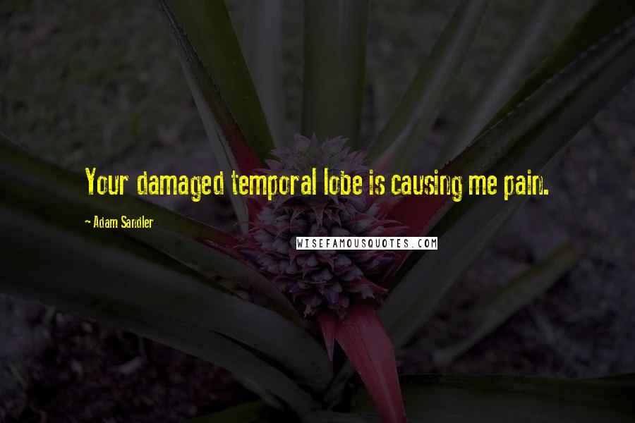 Adam Sandler quotes: Your damaged temporal lobe is causing me pain.