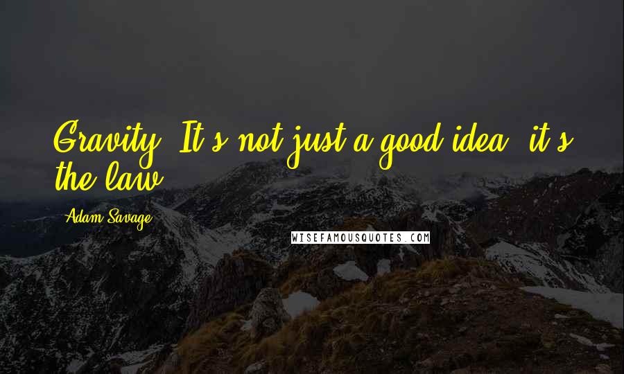 Adam Savage quotes: Gravity. It's not just a good idea; it's the law!