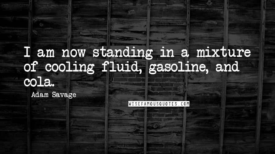 Adam Savage quotes: I am now standing in a mixture of cooling fluid, gasoline, and cola.