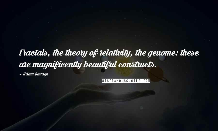 Adam Savage quotes: Fractals, the theory of relativity, the genome: these are magnificently beautiful constructs.