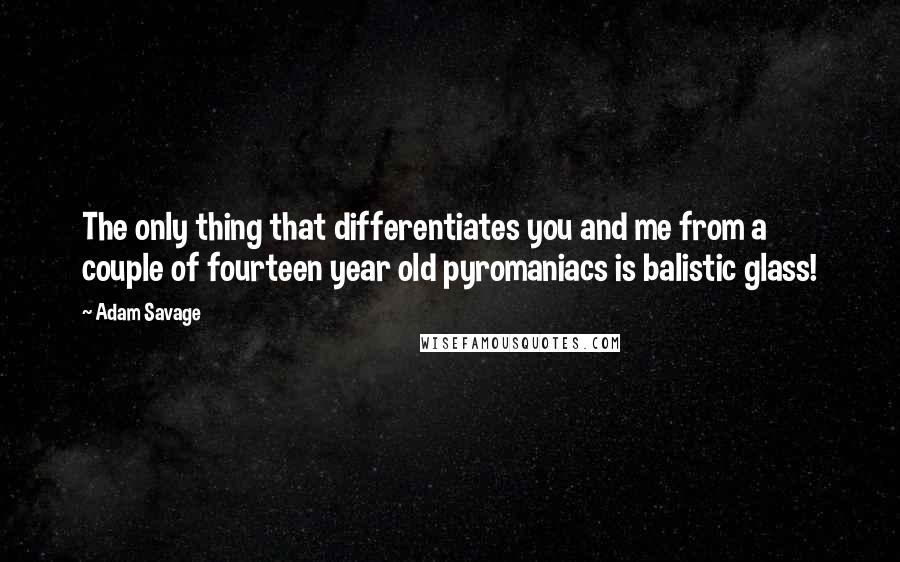 Adam Savage quotes: The only thing that differentiates you and me from a couple of fourteen year old pyromaniacs is balistic glass!