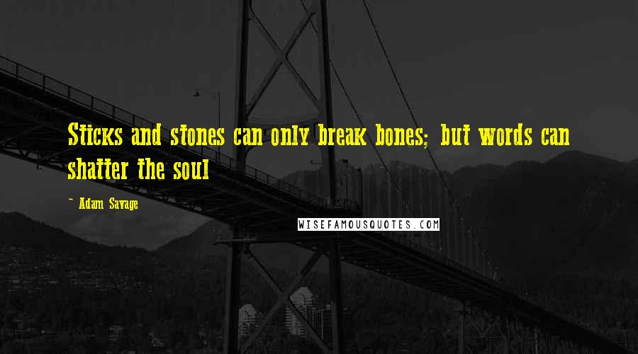 Adam Savage quotes: Sticks and stones can only break bones; but words can shatter the soul