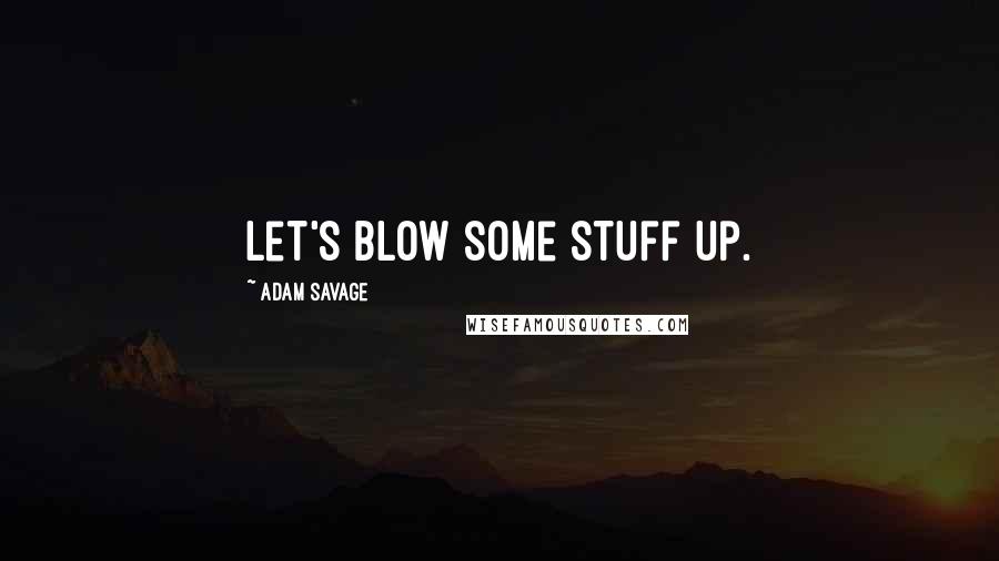 Adam Savage quotes: Let's blow some stuff up.