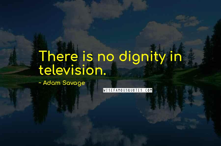 Adam Savage quotes: There is no dignity in television.