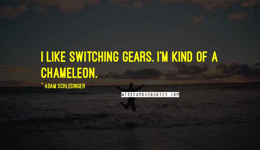 Adam Schlesinger quotes: I like switching gears. I'm kind of a chameleon.