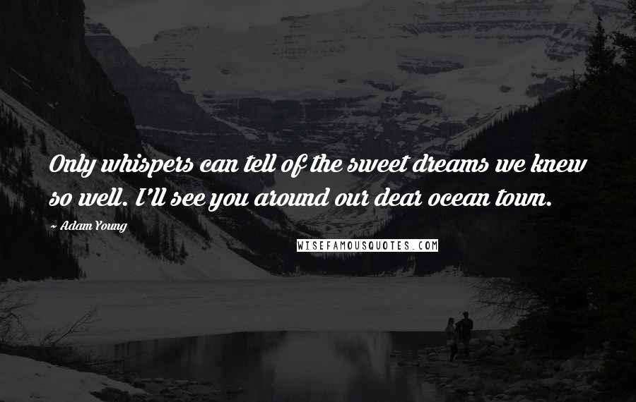 Adam Young quotes: Only whispers can tell of the sweet dreams we knew so well. I'll see you around our dear ocean town.