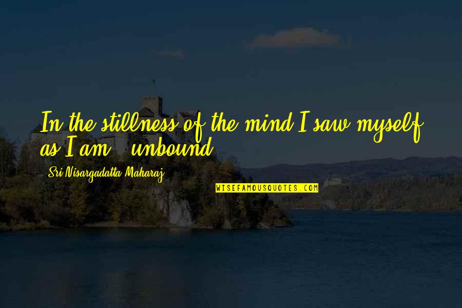 Adamant Person Quotes By Sri Nisargadatta Maharaj: In the stillness of the mind I saw