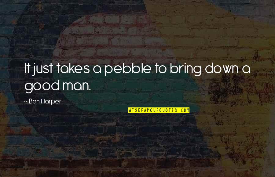 Adamec Hd Quotes By Ben Harper: It just takes a pebble to bring down