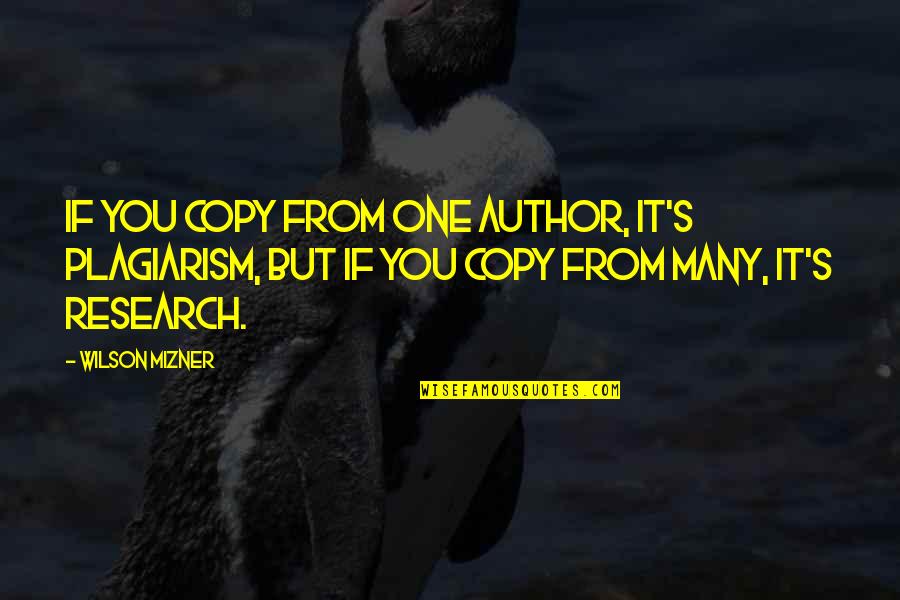 Adamina And Skye Quotes By Wilson Mizner: If you copy from one author, it's plagiarism,