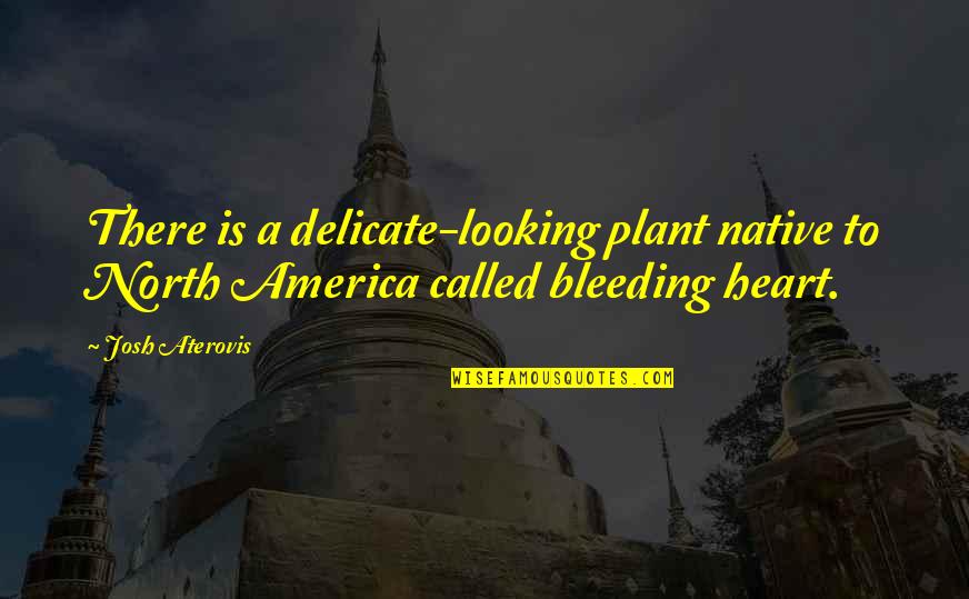 Adams Enterprises Quotes By Josh Aterovis: There is a delicate-looking plant native to North